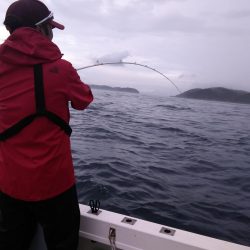 遊漁船SOUTH 9/2釣果