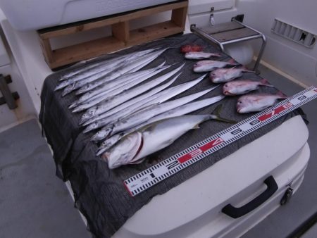 遊漁船SOUTH 9/13釣果