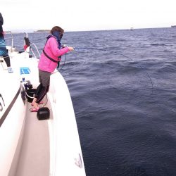 遊漁船SOUTH9/22釣果