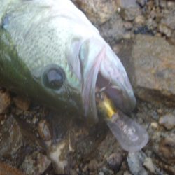 少し涼しくなったが