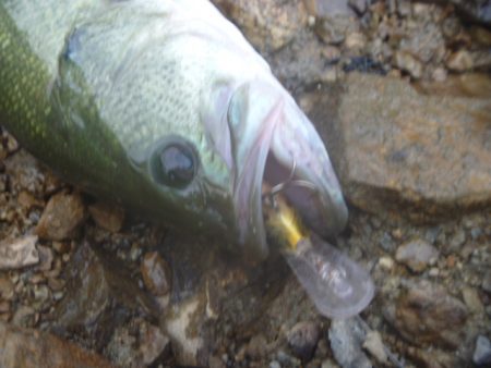 少し涼しくなったが