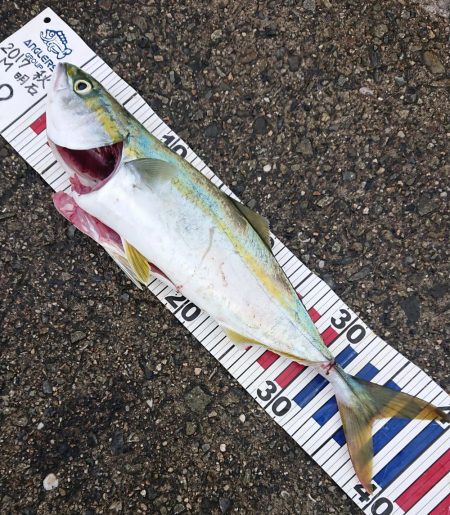 価値ある一本！