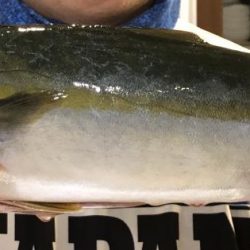 初青物ゲット！