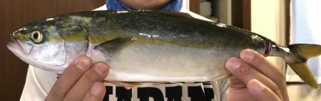 初青物ゲット！