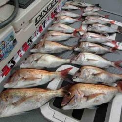 遊漁船 セトマリン 釣果