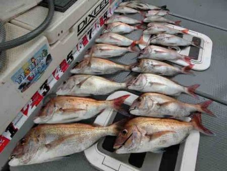 遊漁船 セトマリン 釣果