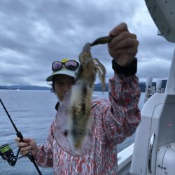 まるいち丸 ZERO-1 釣果