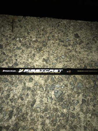 9月23日太刀魚元気