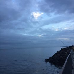 大雨の中太刀魚調査