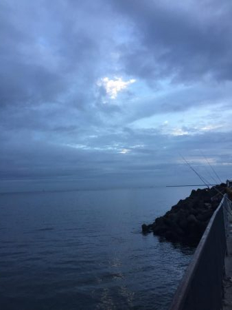 大雨の中太刀魚調査