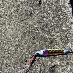 ファミリーフィッシングの合間に