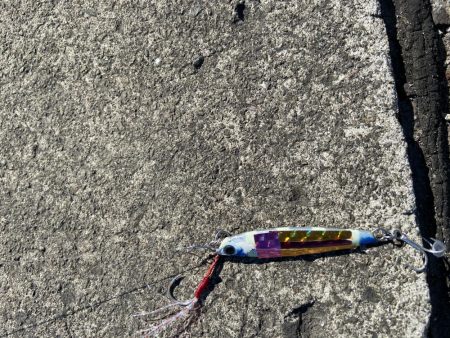 ファミリーフィッシングの合間に