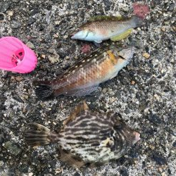 連休3日目!人、人、人