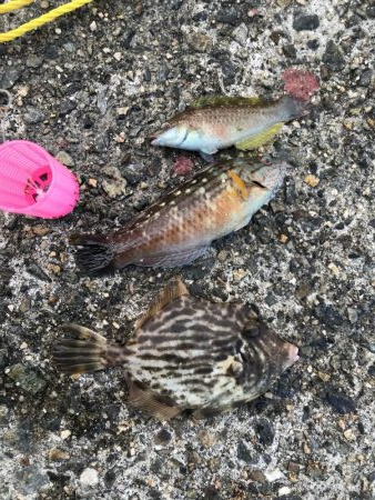 連休３日目！人、人、人