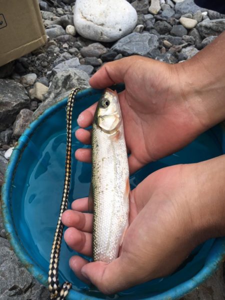 バーベキューがてらの釣り