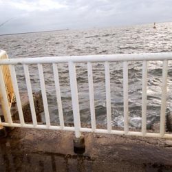 やっとタチウオ釣れた