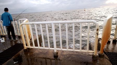 やっとタチウオ釣れた