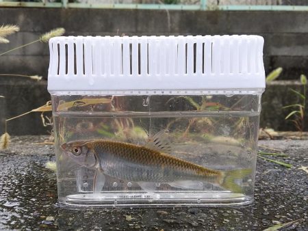 五目達成 ～小物釣り～