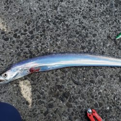 昼間の暑い中でも