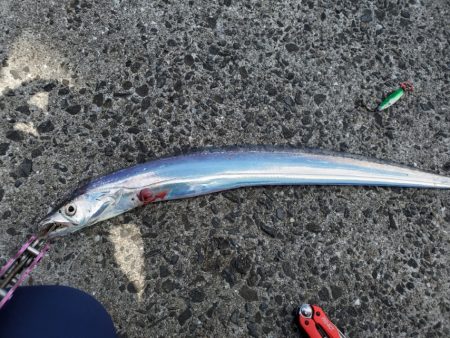 昼間の暑い中でも