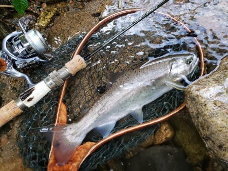 細身ですが尺ヤマメ‼️