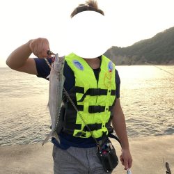 朝マズメ・サゴシ