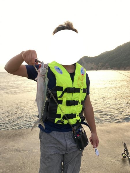 朝マズメ・サゴシ