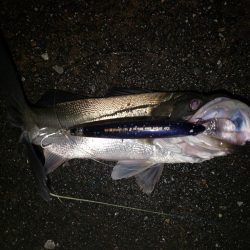 夜練釣行