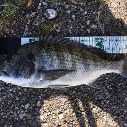 SLIDE WIPER55SにRIDE ON!!