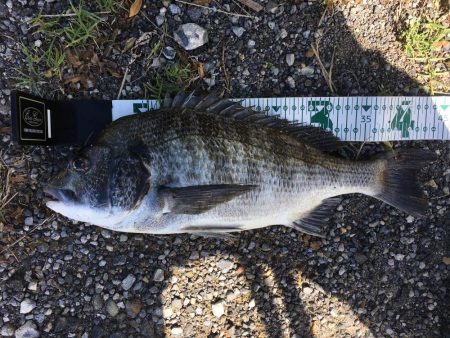 SLIDE WIPER55SにRIDE O…