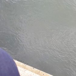 ボウズよりはマシか…。