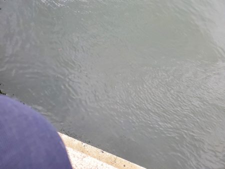 ボウズよりはマシか…。