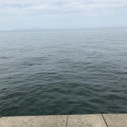 太刀魚からの青物狙い