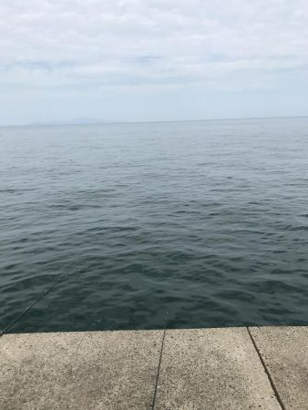 太刀魚からの青物狙い