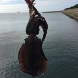 ちっちゃくなった