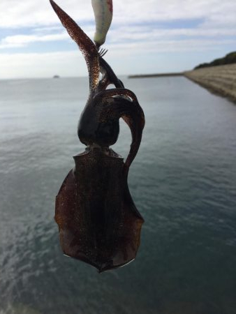 ちっちゃくなった