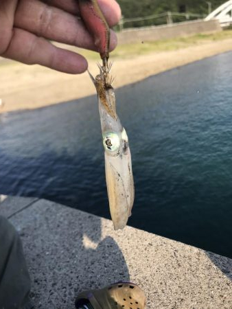 そろそろメッキだよ