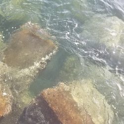 自己最多の大爆釣