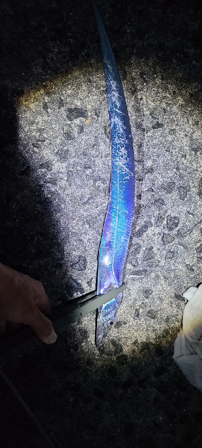 でかアジ、太刀魚狙い