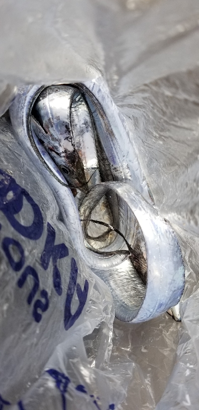 ナイトフィッシング