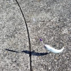 サバゲーで癒された