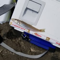 前回のリベンジ!