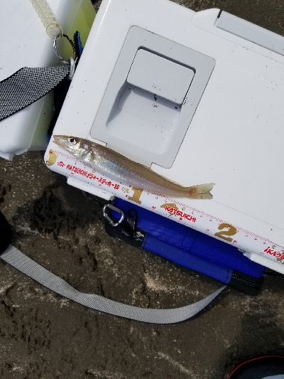 前回のリベンジ!