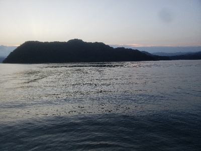 サゴシを求めて