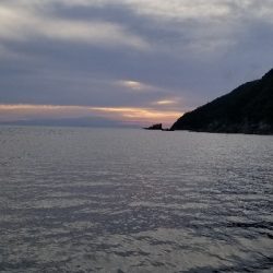 久し振りにエギング