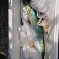 連休最終日にやっと貧果脱出