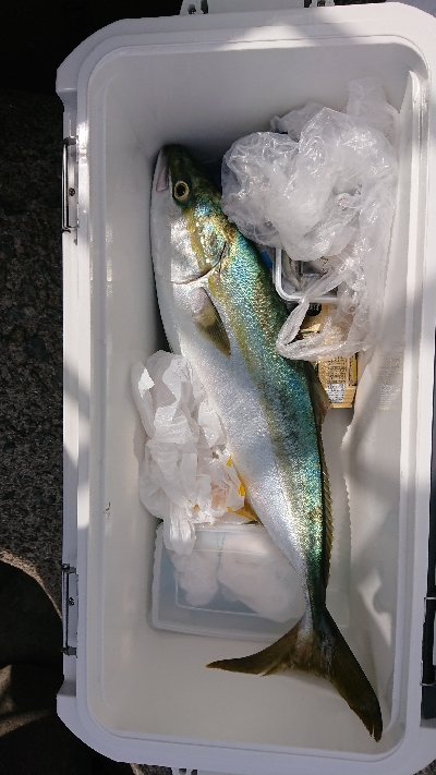 連休最終日にやっと貧果脱出