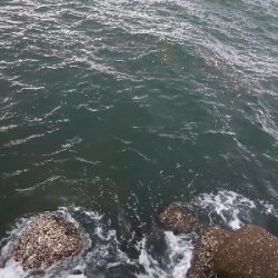 今季初の太刀魚ラッシュ！