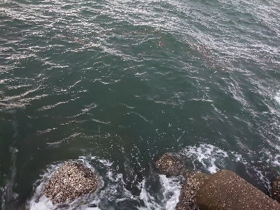 今季初の太刀魚ラッシュ！