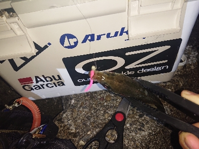 バラシおおすぎ